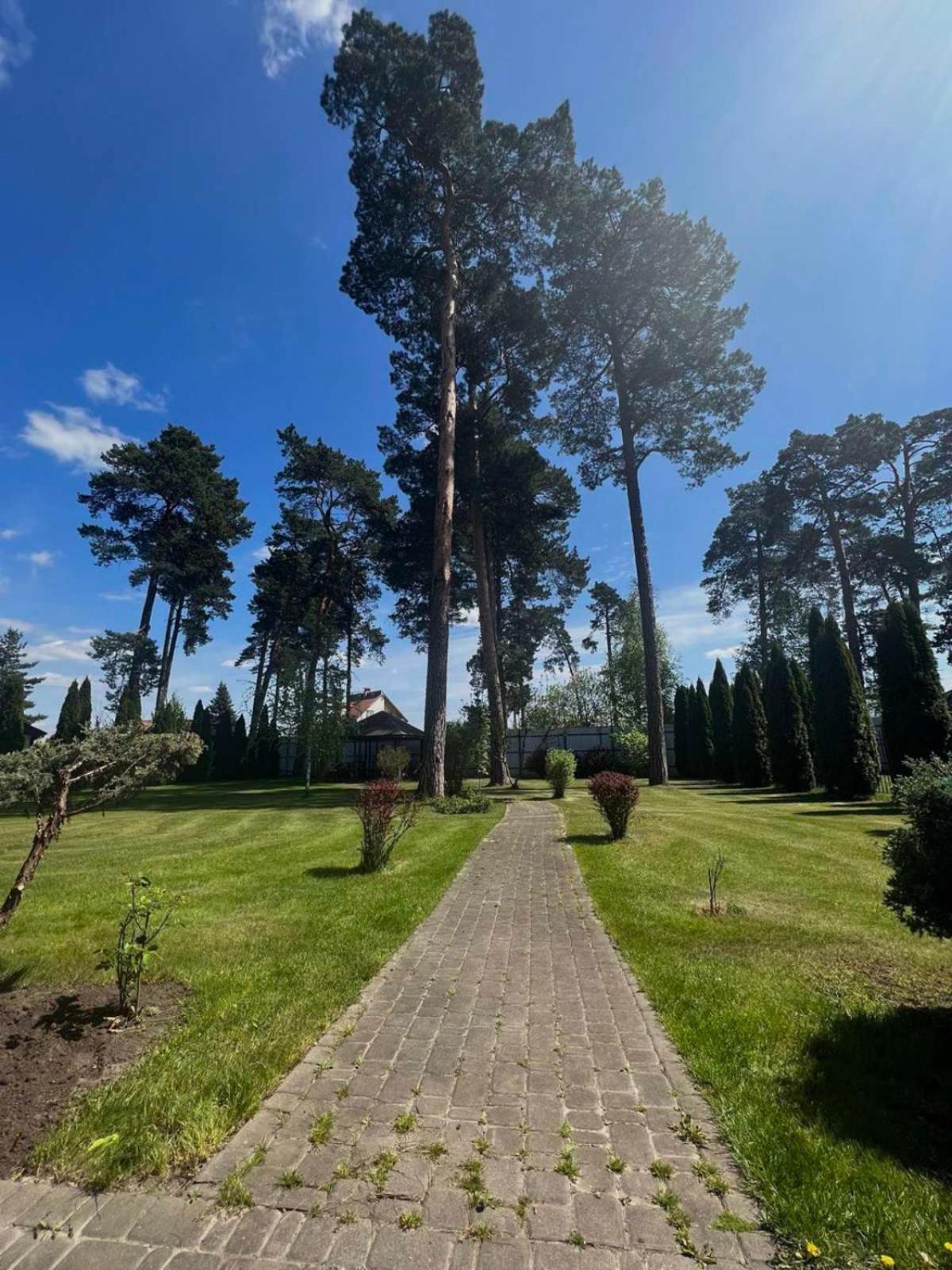 Borovik Hotel Novosilki Bagian luar foto